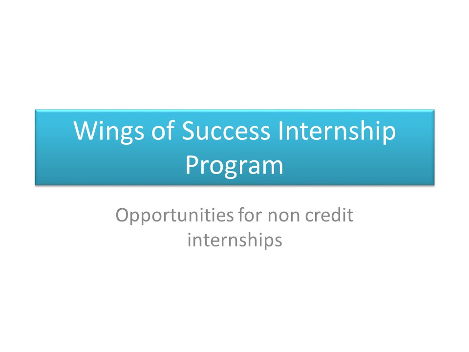 Wings of Success Internship Program Opportunities for non credit internships