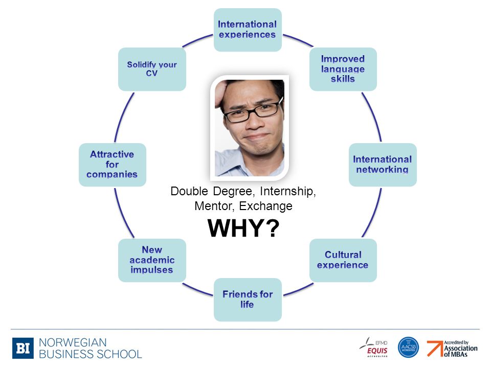 Double Degree, Internship, Mentor, Exchange WHY