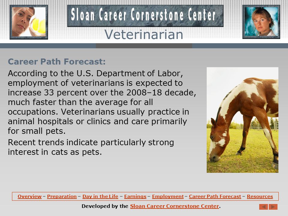 Employment: Veterinarians hold about 59,700 jobs in the U.S.