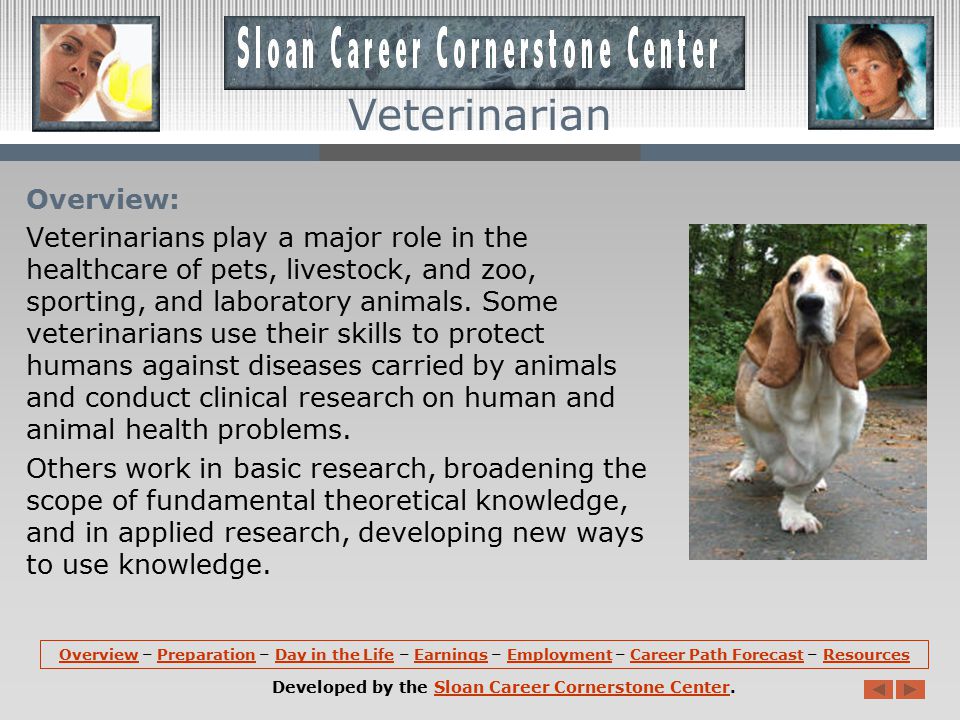 OverviewOverview – Preparation – Day in the Life – Earnings – Employment – Career Path Forecast – ResourcesPreparationDay in the LifeEarningsEmploymentCareer Path ForecastResources Developed by the Sloan Career Cornerstone Center.Sloan Career Cornerstone Center Veterinarian
