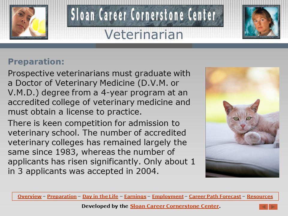 Overview (continued): Most veterinarians perform clinical work in private practices.