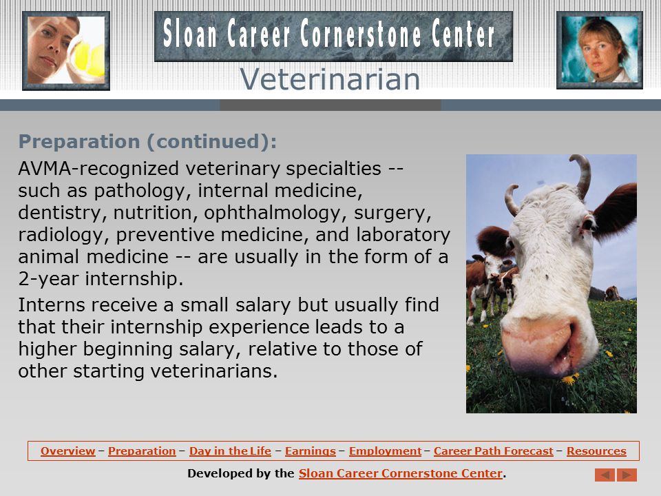 Preparation: Prospective veterinarians must graduate with a Doctor of Veterinary Medicine (D.V.M.