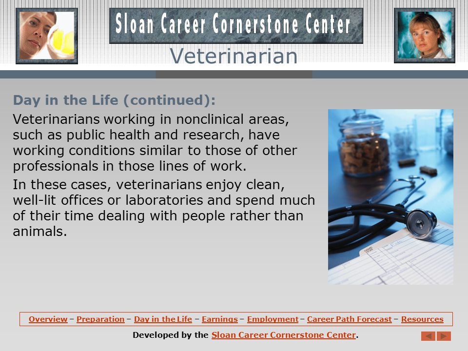 Day in the Life: Veterinarians often work long hours.