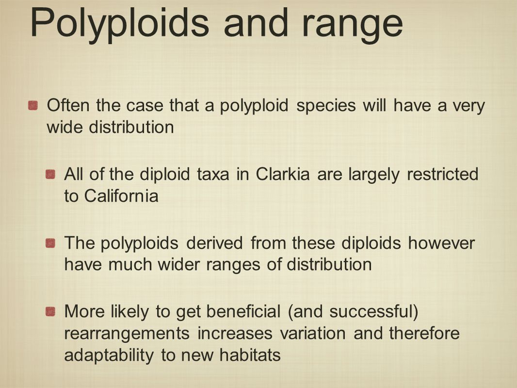 Polyploids and range Often the case that a polyploid species will have a very wide distribution All of the diploid taxa in Clarkia are largely restricted to California The polyploids derived from these diploids however have much wider ranges of distribution More likely to get beneficial (and successful) rearrangements increases variation and therefore adaptability to new habitats