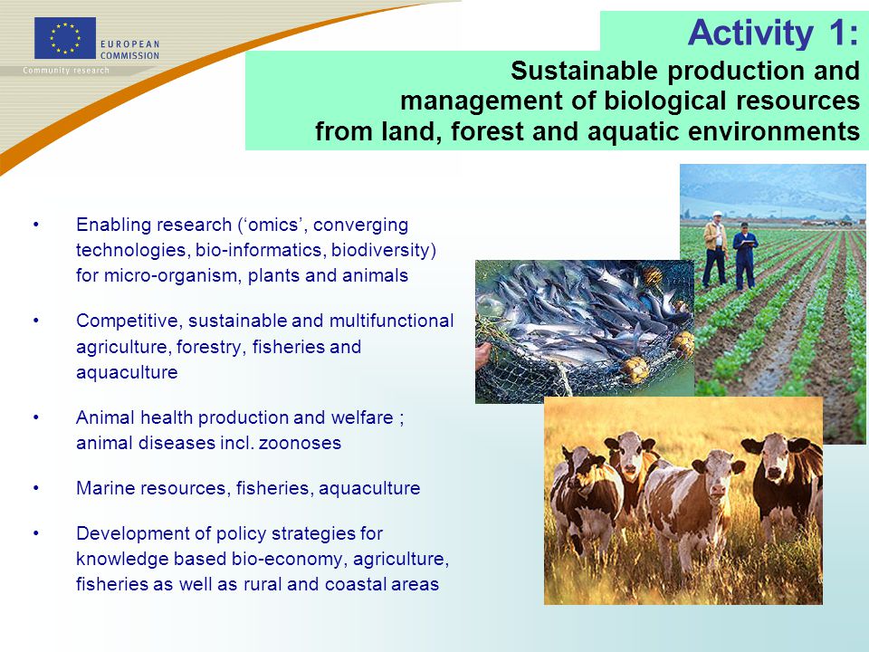 Activity 1: Enabling research (‘omics’, converging technologies, bio-informatics, biodiversity) for micro-organism, plants and animals Competitive, sustainable and multifunctional agriculture, forestry, fisheries and aquaculture Animal health production and welfare ; animal diseases incl.