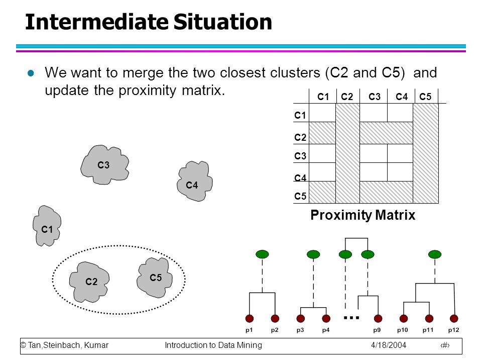 © Tan,Steinbach, Kumar Introduction to Data Mining 4/18/ Intermediate Situation l We want to merge the two closest clusters (C2 and C5) and update the proximity matrix.