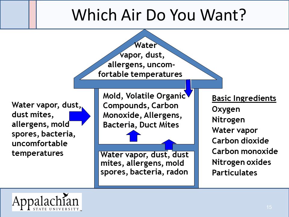 Which Air Do You Want.