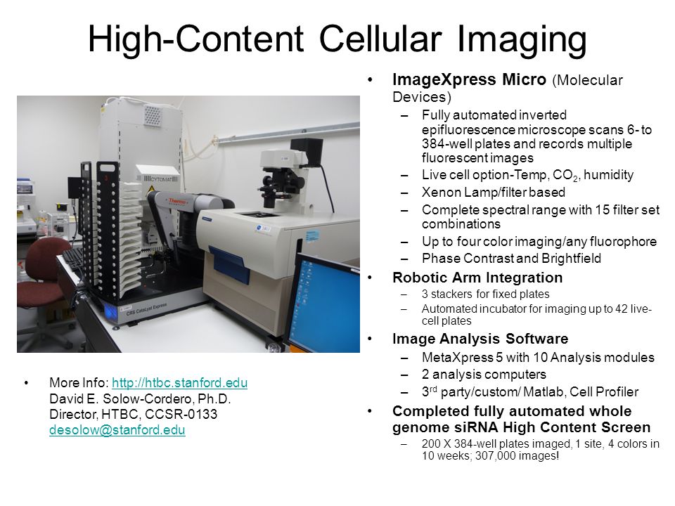 High-Content Cellular Imaging ImageXpress Micro (Molecular Devices) –Fully automated inverted epifluorescence microscope scans 6- to 384-well plates and records multiple fluorescent images –Live cell option-Temp, CO 2, humidity –Xenon Lamp/filter based –Complete spectral range with 15 filter set combinations –Up to four color imaging/any fluorophore –Phase Contrast and Brightfield Robotic Arm Integration –3 stackers for fixed plates –Automated incubator for imaging up to 42 live- cell plates Image Analysis Software –MetaXpress 5 with 10 Analysis modules –2 analysis computers –3 rd party/custom/ Matlab, Cell Profiler Completed fully automated whole genome siRNA High Content Screen –200 X 384-well plates imaged, 1 site, 4 colors in 10 weeks; 307,000 images.