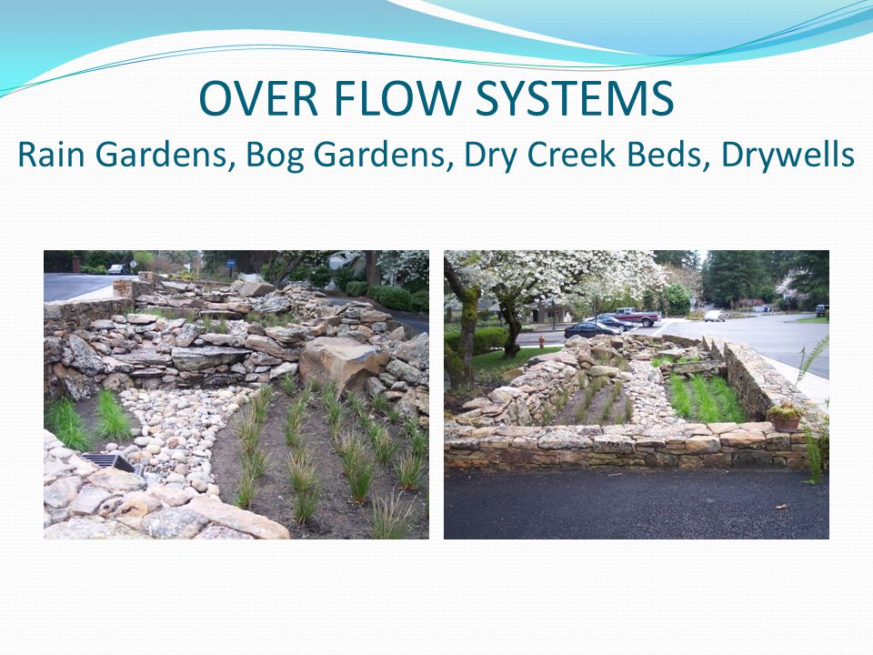 OVER FLOW SYSTEMS Rain Gardens, Bog Gardens, Dry Creek Beds, Drywells