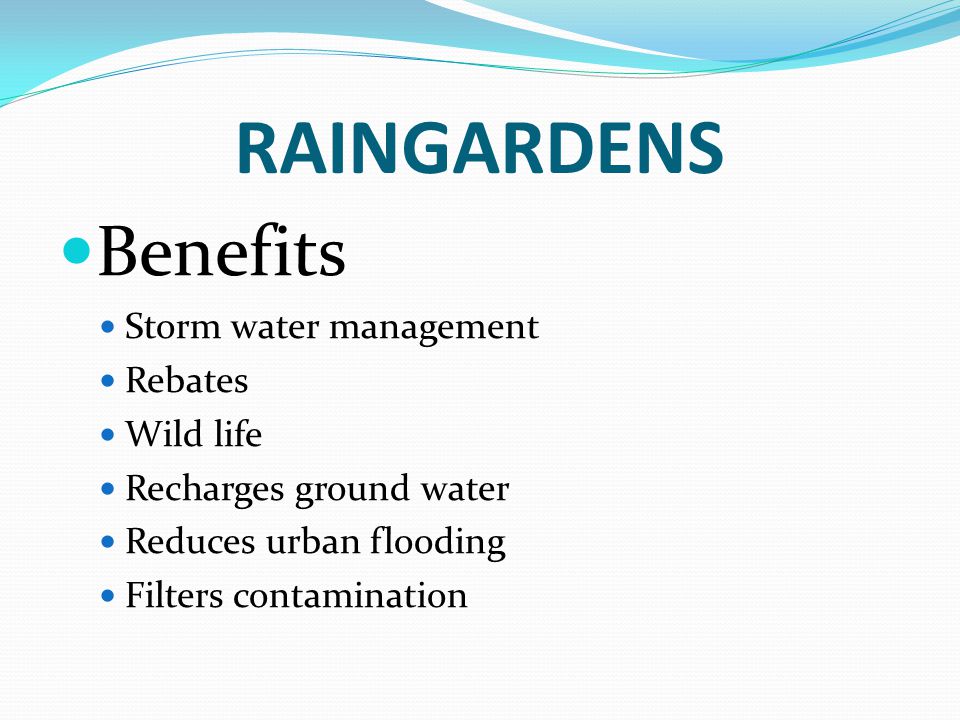 RAINGARDENS Benefits Storm water management Rebates Wild life Recharges ground water Reduces urban flooding Filters contamination