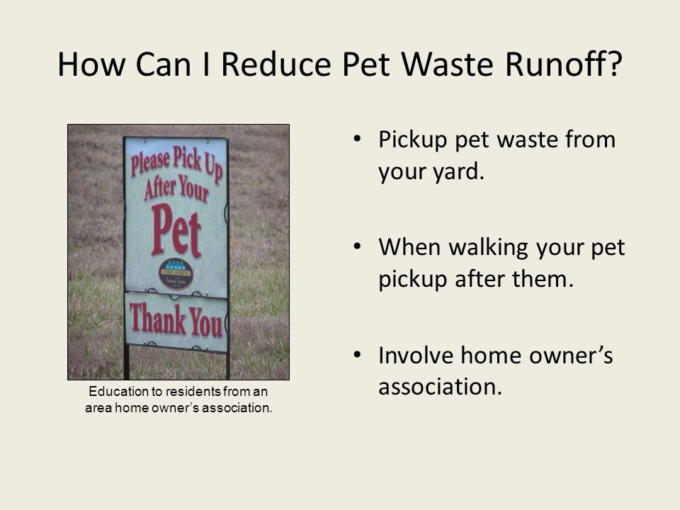 How Can I Reduce Pet Waste Runoff. Pickup pet waste from your yard.