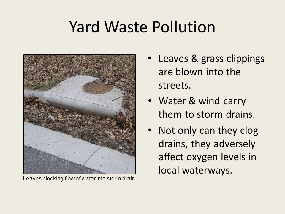 Yard Waste Pollution Leaves & grass clippings are blown into the streets.