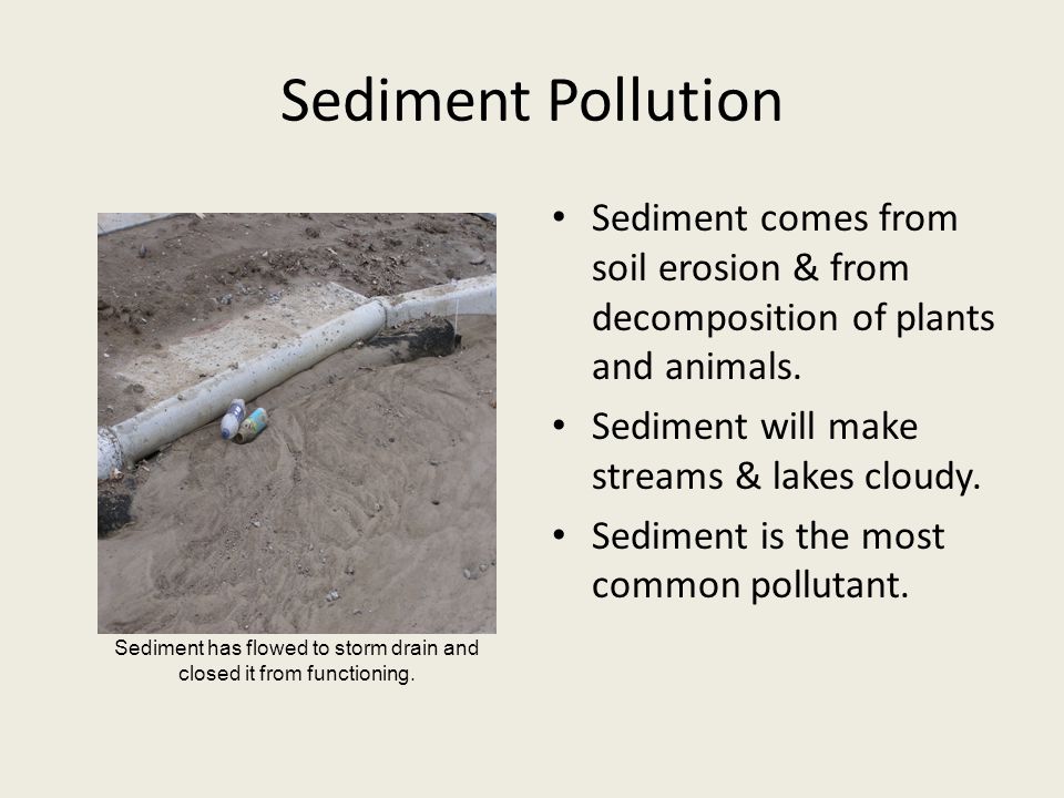 Sediment Pollution Sediment comes from soil erosion & from decomposition of plants and animals.