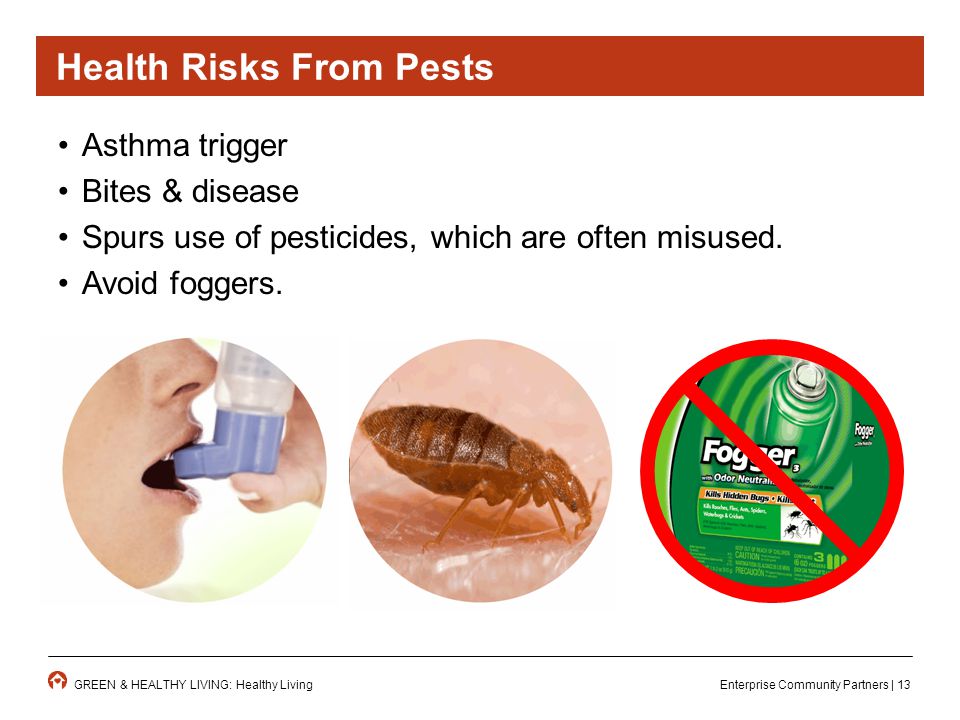 Enterprise Community Partners | 13GREEN & HEALTHY LIVING: Healthy Living Asthma trigger Bites & disease Spurs use of pesticides, which are often misused.