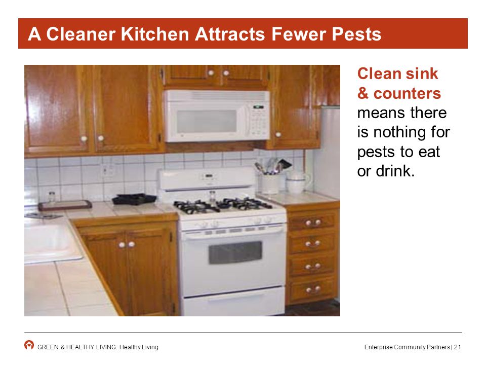 Enterprise Community Partners | 21GREEN & HEALTHY LIVING: Healthy Living Clean sink & counters means there is nothing for pests to eat or drink.