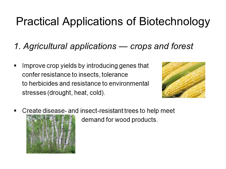 Practical Applications of Biotechnology 1.