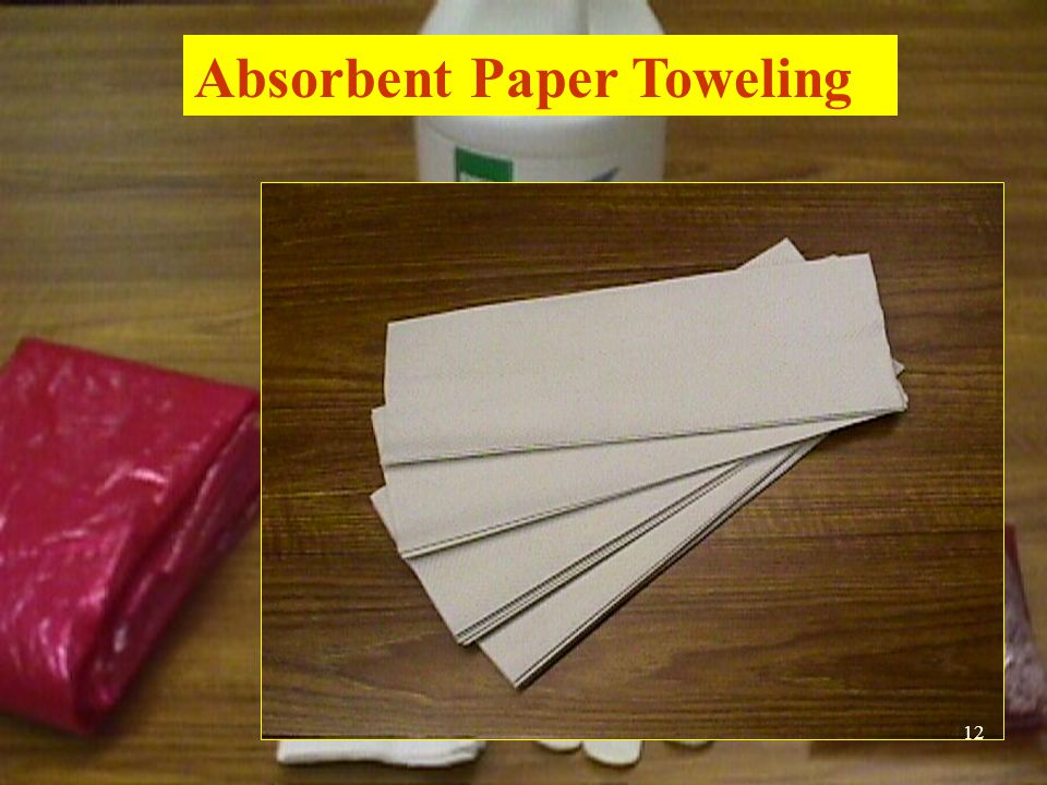 Absorbent Paper Toweling 12