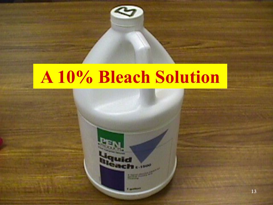 A 10% Bleach Solution 13