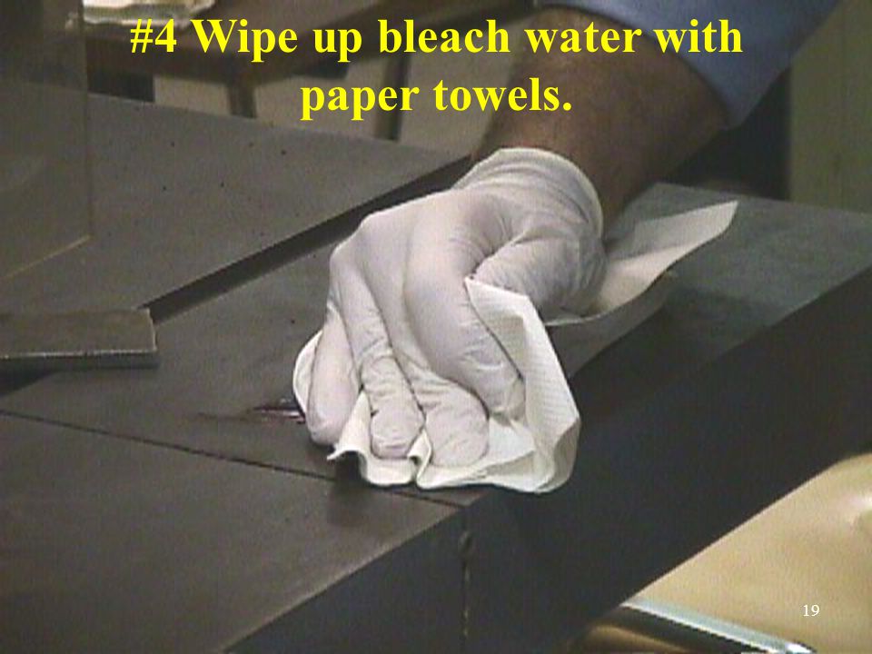 #4 Wipe up bleach water with paper towels. 19