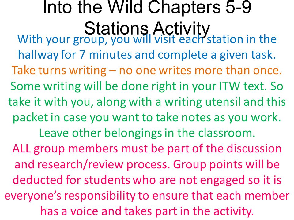 Writing assignment for you into the wild