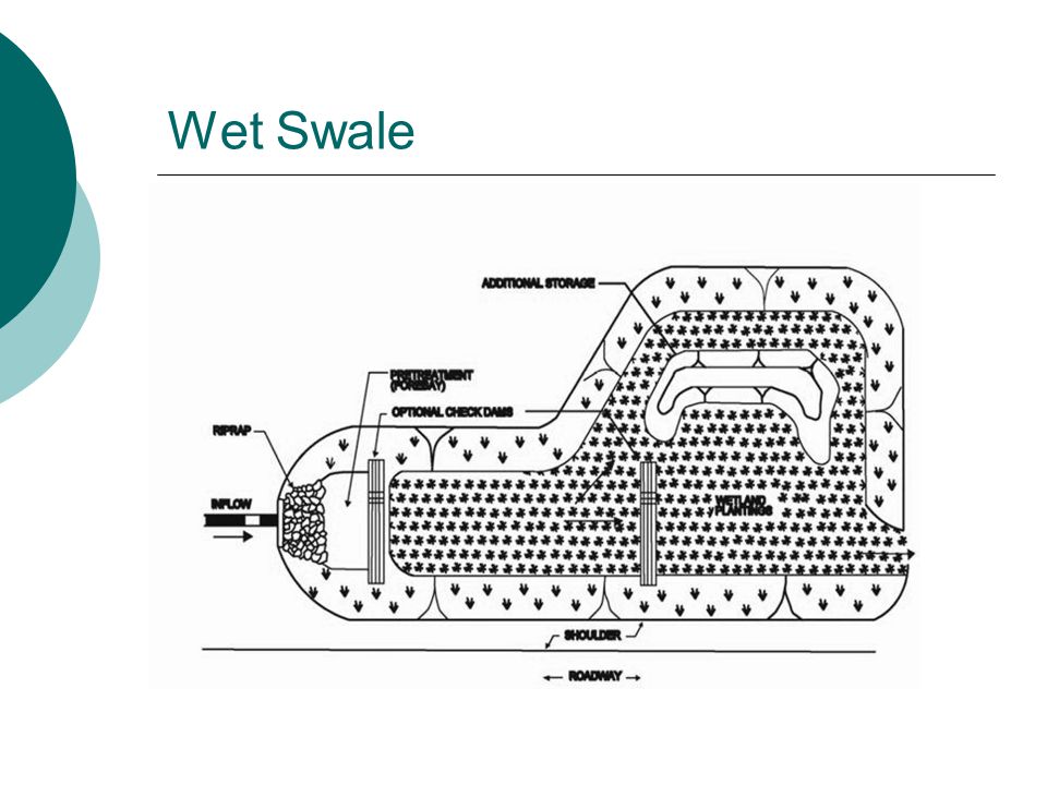 Wet Swale
