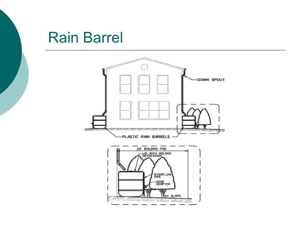 Rain Barrel