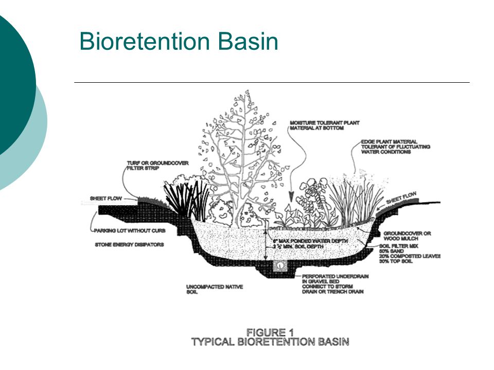 Bioretention Basin