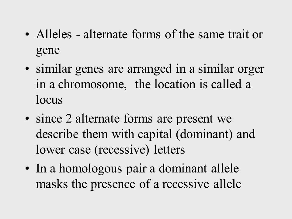 Alleles - alternate forms of the same trait or gene similar genes are arranged in a similar orger in a chromosome, the location is called a locus since 2 alternate forms are present we describe them with capital (dominant) and lower case (recessive) letters In a homologous pair a dominant allele masks the presence of a recessive allele