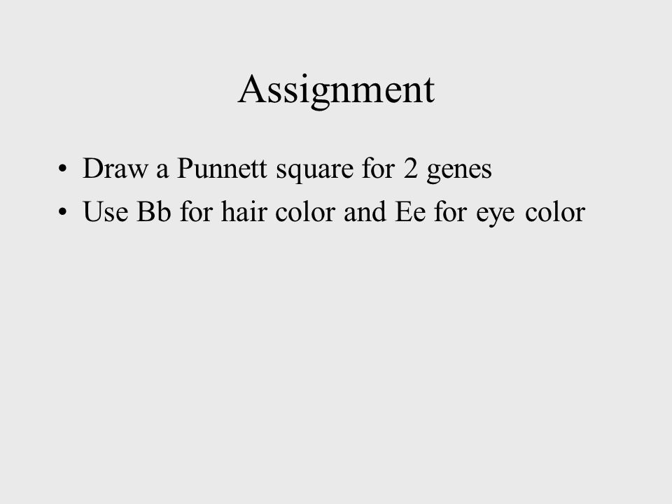 Assignment Draw a Punnett square for 2 genes Use Bb for hair color and Ee for eye color