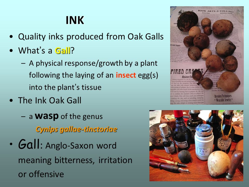 INK Quality inks produced from Oak Galls GallWhat ’ s a Gall.
