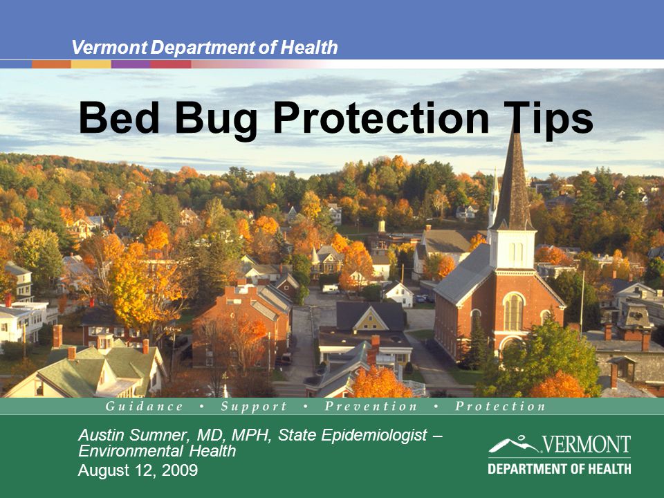 Vermont Department of Health Bed Bug Protection Tips Austin Sumner, MD, MPH, State Epidemiologist – Environmental Health August 12, 2009