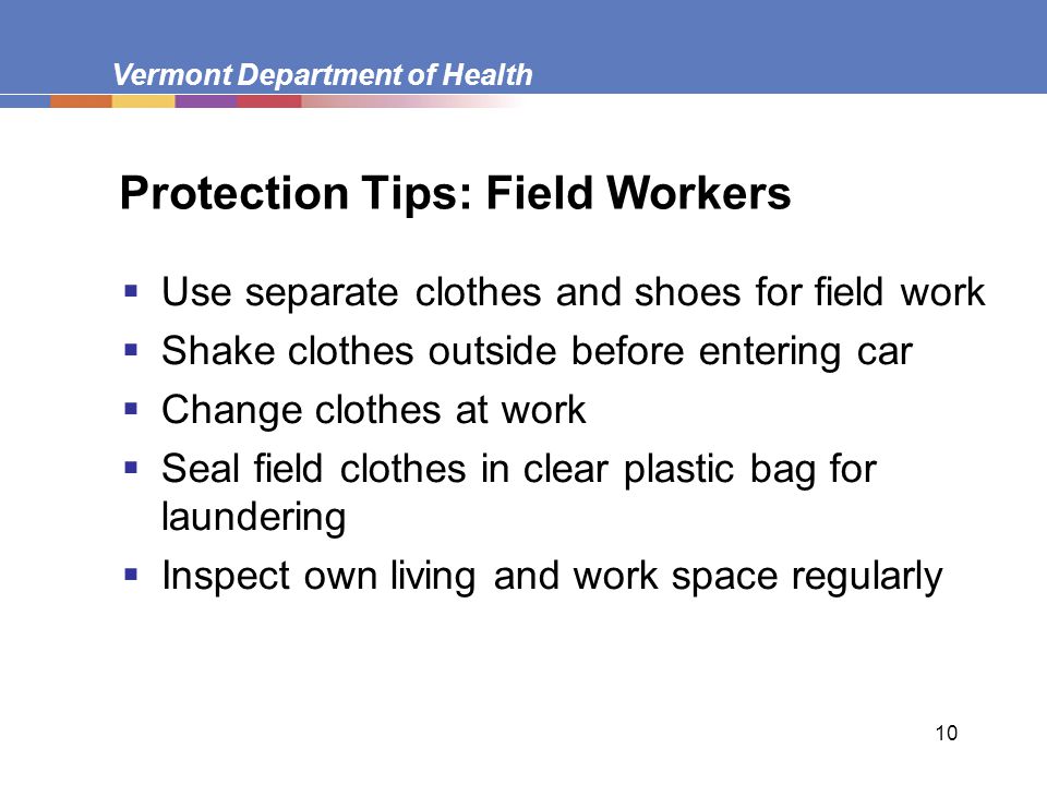 Vermont Department of Health 10 Protection Tips: Field Workers  Use separate clothes and shoes for field work  Shake clothes outside before entering car  Change clothes at work  Seal field clothes in clear plastic bag for laundering  Inspect own living and work space regularly