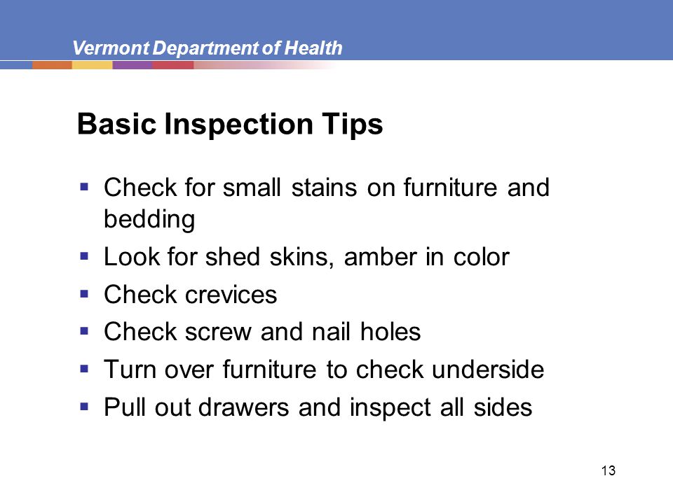 Vermont Department of Health 13 Basic Inspection Tips  Check for small stains on furniture and bedding  Look for shed skins, amber in color  Check crevices  Check screw and nail holes  Turn over furniture to check underside  Pull out drawers and inspect all sides