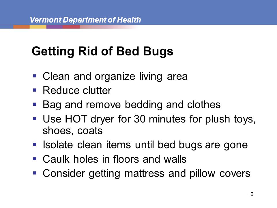 Vermont Department of Health 16 Getting Rid of Bed Bugs  Clean and organize living area  Reduce clutter  Bag and remove bedding and clothes  Use HOT dryer for 30 minutes for plush toys, shoes, coats  Isolate clean items until bed bugs are gone  Caulk holes in floors and walls  Consider getting mattress and pillow covers