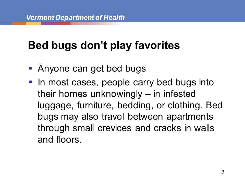 3 Bed bugs don’t play favorites  Anyone can get bed bugs  In most cases, people carry bed bugs into their homes unknowingly – in infested luggage, furniture, bedding, or clothing.