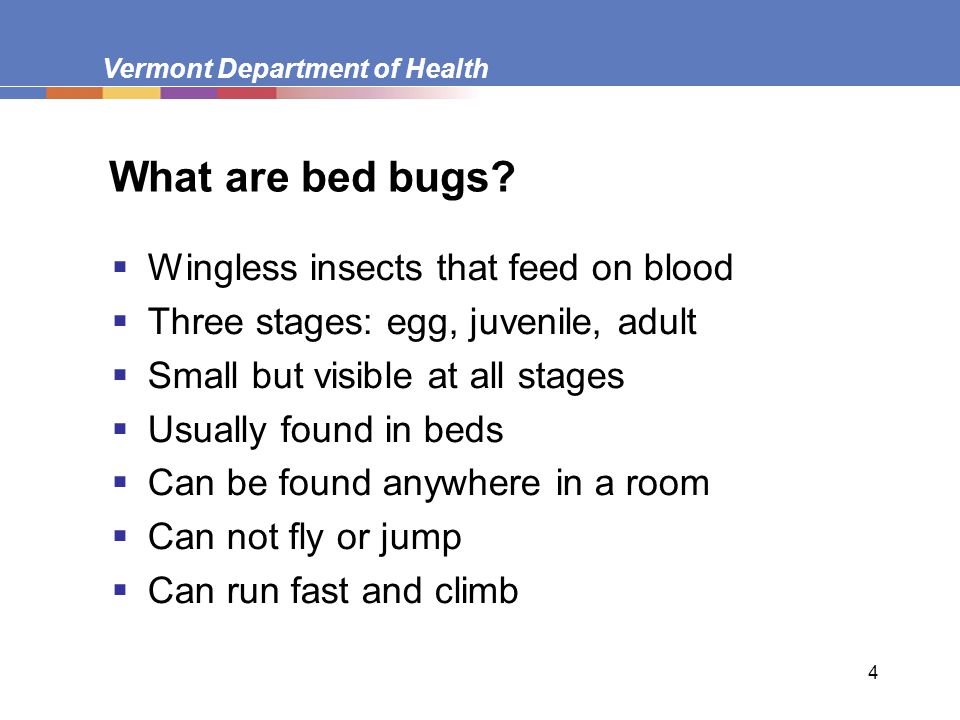 Vermont Department of Health 4 What are bed bugs.