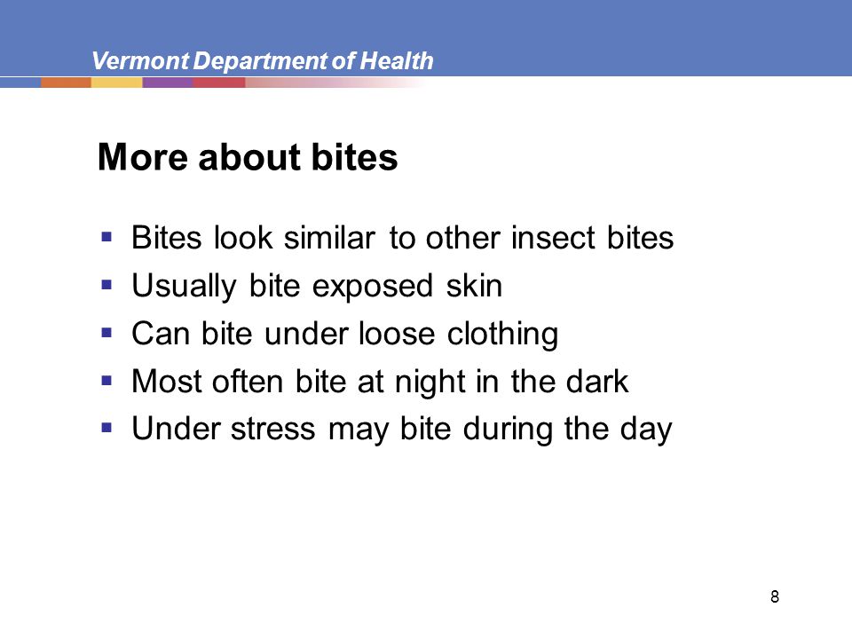 8 More about bites  Bites look similar to other insect bites  Usually bite exposed skin  Can bite under loose clothing  Most often bite at night in the dark  Under stress may bite during the day