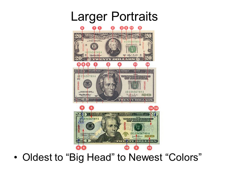 Larger Portraits Oldest to Big Head to Newest Colors
