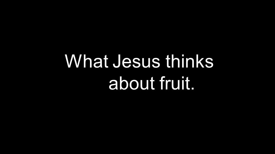 What Jesus thinks about fruit.
