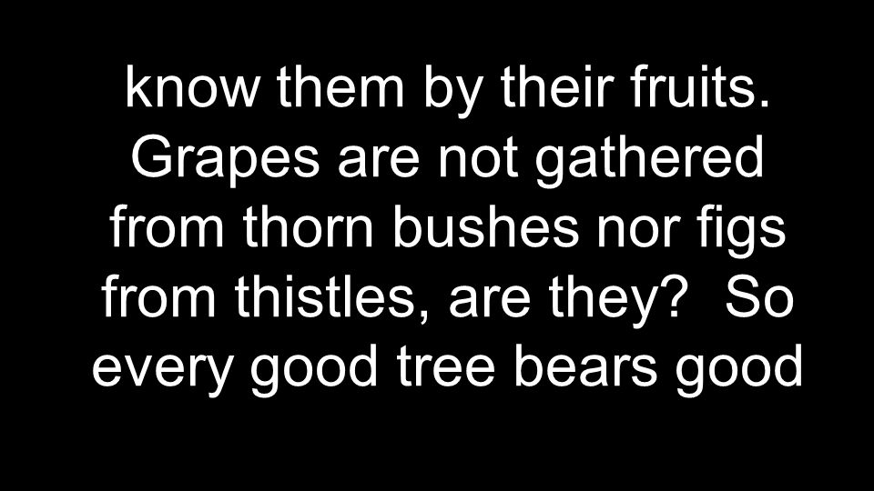 know them by their fruits.