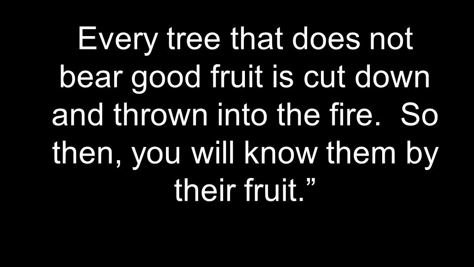 Every tree that does not bear good fruit is cut down and thrown into the fire.