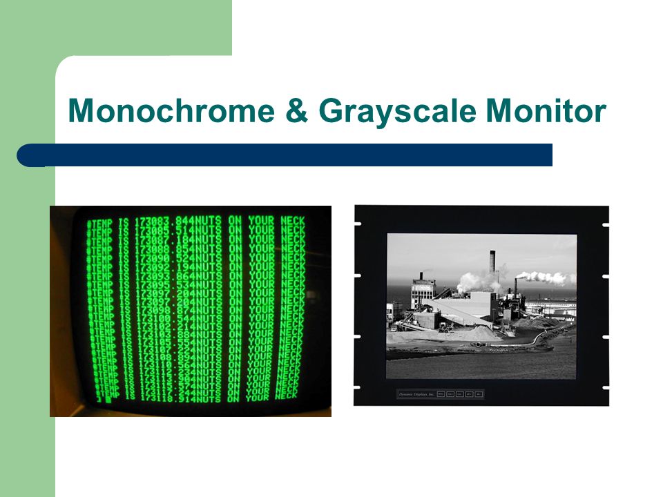 Monochrome & Grayscale Monitor