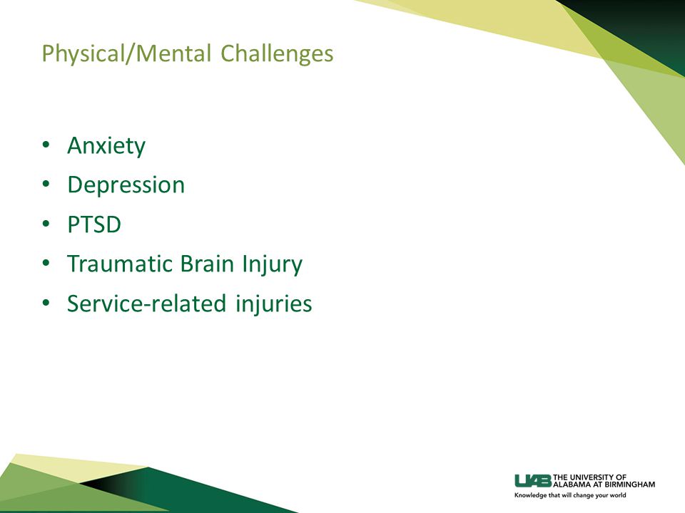 Physical/Mental Challenges Anxiety Depression PTSD Traumatic Brain Injury Service-related injuries