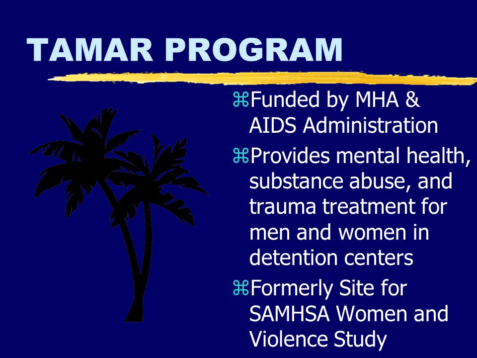 TAMAR PROGRAM z Funded by MHA & AIDS Administration z Provides mental health, substance abuse, and trauma treatment for men and women in detention centers z Formerly Site for SAMHSA Women and Violence Study