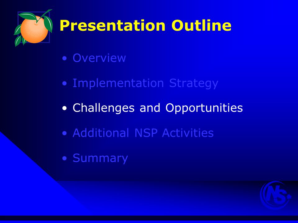 Presentation Outline Overview Implementation Strategy Challenges and Opportunities Additional NSP Activities Summary