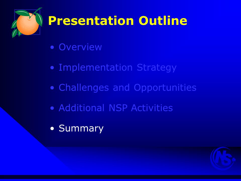 Presentation Outline Overview Implementation Strategy Challenges and Opportunities Additional NSP Activities Summary