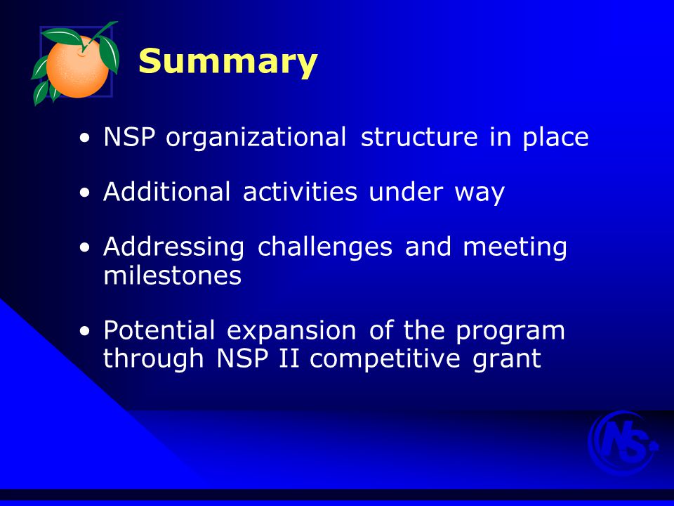 NSP organizational structure in place Additional activities under way Addressing challenges and meeting milestones Potential expansion of the program through NSP II competitive grant