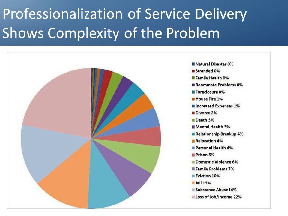 5 Professionalization of Service Delivery Shows Complexity of the Problem