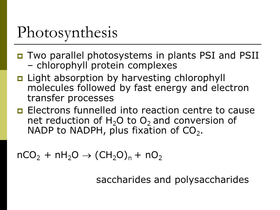 Photosynthesis  Two parallel photosystems in plants PSI and PSII – chlorophyll protein complexes  Light absorption by harvesting chlorophyll molecules followed by fast energy and electron transfer processes  Electrons funnelled into reaction centre to cause net reduction of H 2 O to O 2 and conversion of NADP to NADPH, plus fixation of CO 2.