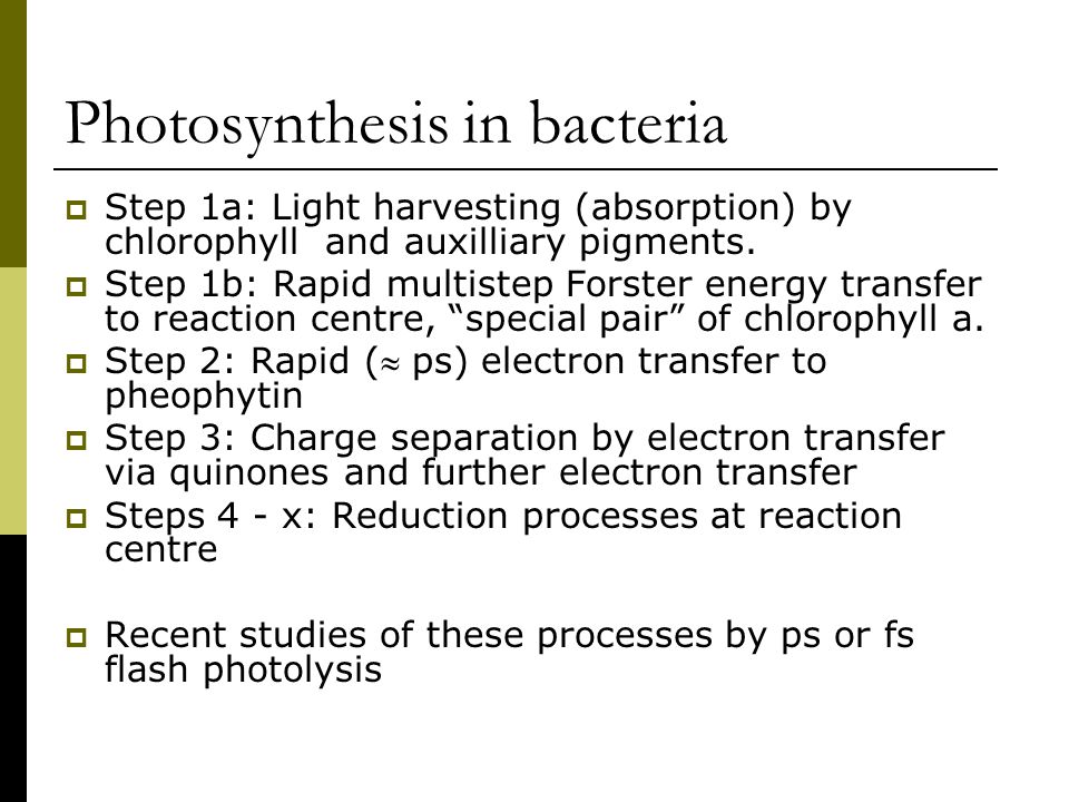 Photosynthesis in bacteria  Step 1a: Light harvesting (absorption) by chlorophyll and auxilliary pigments.